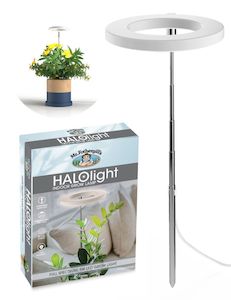 Lighting: USB Halo Light