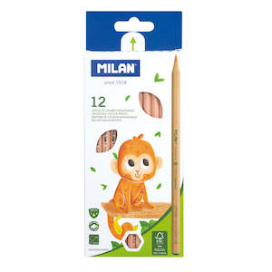 Milan Hexagonal Coloured Pencils Set of 12