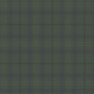 Check It Out Wallpaper - Green Duck