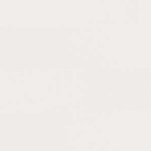 Sample -Versace Home Wallpaper - White