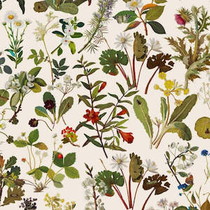 Herbarium Hybrid Mural Wallpaper - House of Hackney - Ecru