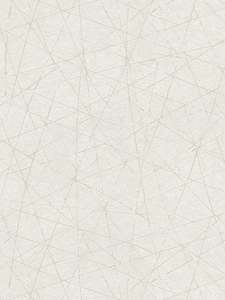 Geometric Wallpaper: Linear Web - Geometric Wallpaper - White
