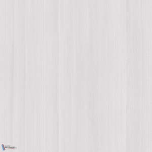 Paulownia - Wood Veneer Wallpaper - White