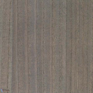 Paulownia - Wood Veneer Wallpaper - Charcoal Gray