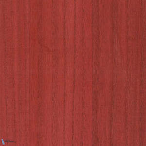 Paulownia - Wood Veneer Wallpaper - Goji Berry