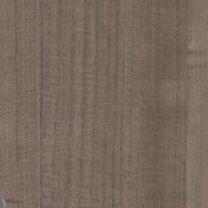 Paulownia - Wood Veneer Wallpaper - White Pepper