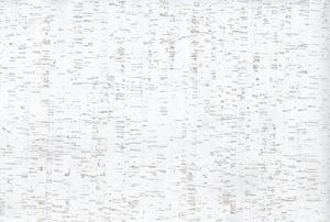 Asian Wallpaper: Refined Cork Wallpaper - White/Silver