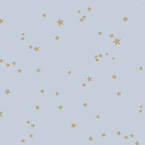 Retro Wallpaper: Stars Wallpaper - Cole and Sons - Powder Blue