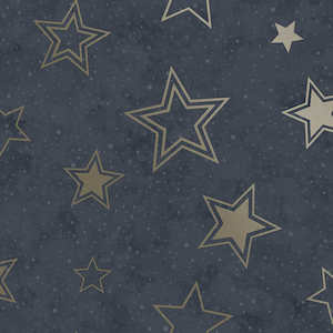 Stardust - Enchanting Wallpaper - Midnight Blue & Gold
