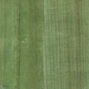 Paulownia - Wood Veneer Wallpaper - Willow Bough