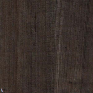 Paulownia - Wood Veneer Wallpaper - Olive Drab
