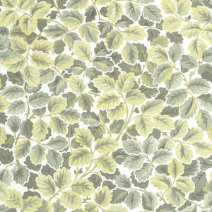 Regent's Park Wallpaper - Amande