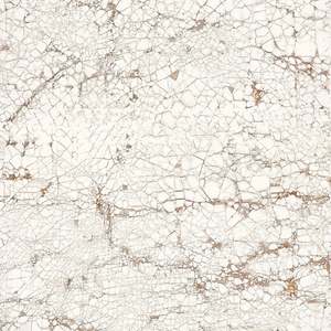 Nacho Carbonell - Cracked Plaster Wallpaper - White