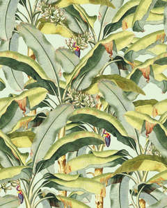 Banana Grove - Custom Sized Wallpaper Mural (per m2)