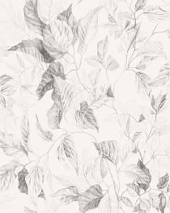 Tree Wallpaper: Jeu De Feuilles - Custom Sized Wallpaper Mural (per m2)