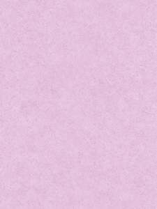 Soft Plain Plaster Wallpaper - Pink