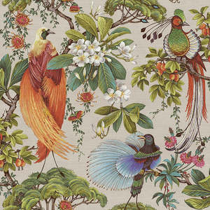 Yasuni Wallpaper - Natural - Discontinuing