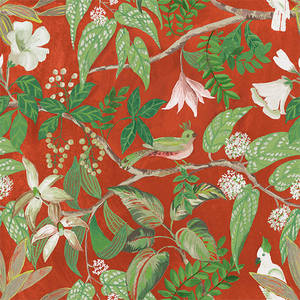 Orange: Birds Sing and Flowers Bloom Wallpaper - Deep Orange Red