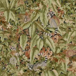 Orange: Comoros – Hidden Lemur Wallpaper – Rust/Green