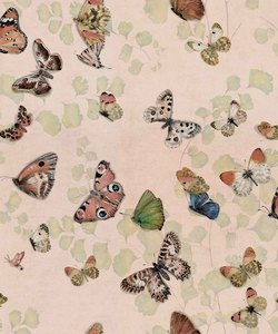 Pink Wallpaper: Magic Butterflies Wallpaper - Sweet Pink