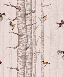 Pink Wallpaper: Birch Trees Wallpaper - Faint Pink
