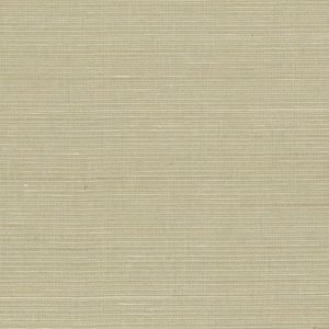 Abaca Natural Fibre WIDE Wallpaper - Spring Grass
