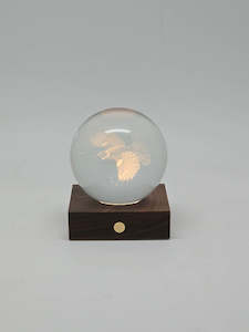 Lighting: Tūī - 3D Laser Engraved LED Light