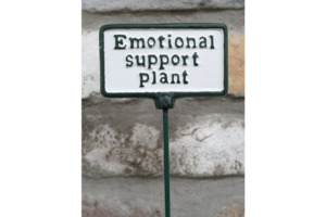Plant Sign- Emotional Support Plant