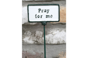 Outdoor: Plant Signs- Pray For Me