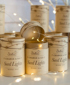 Lighting: Charge & Go. Rechargeable Seed Lights