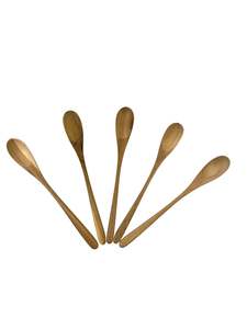 Condiment Teak Spoon