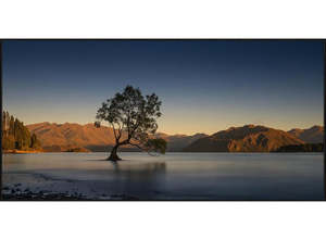 Willowing In Wanaka