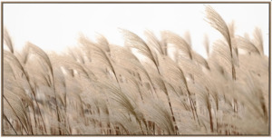 Golden Whispers