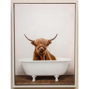 Bath Time Highland Cow