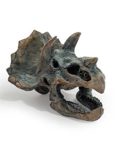 Triceratops Skull Table Decor