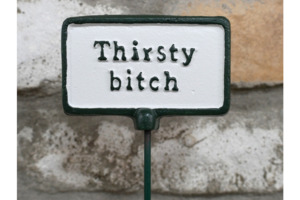 Outdoor: Plant Sign - Thirsty Bitch
