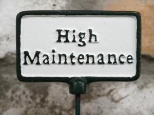 Outdoor: Plant Sign - High Maintenance
