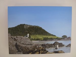 Mount Maunganui Locals