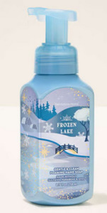 Christmas In Stock 1: Frozen Lake Gentle & Clean Foaming Hand Soap