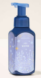 Soap: Winter Gentle & Clean Foaming Hand Soap
