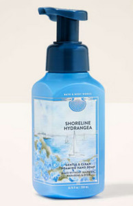 Soap: Shoreline Hydrangea Gentle & Clean Foaming Hand Soap