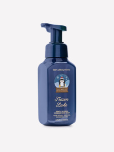 Frozen Lake Gentle & Clean Foaming Hand Soap