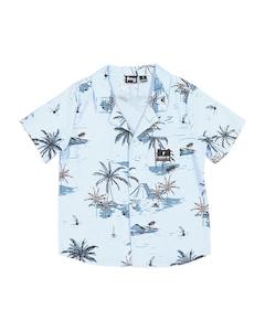 RADICOOL Vintage Palms Shirt