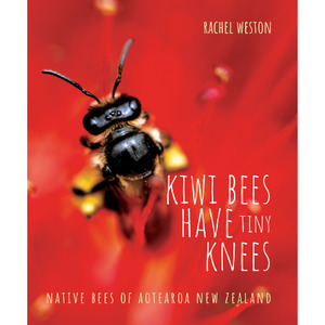Kiwi Bees have Tiny Knees - The Kiwi Kids' Bookstore