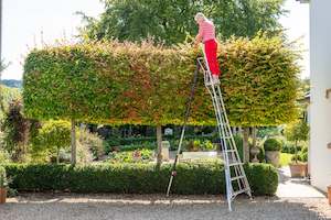 New Fully Adjustable Tripod Ladder 12ft / 3.6m