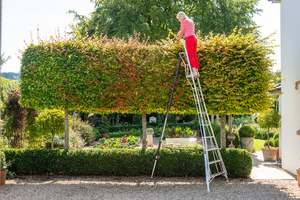 All: 2025 Edition Fully Adjustable Tripod Ladder 12ft / 3.6m