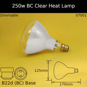 250W 230V BC Clear Heat Lamp
