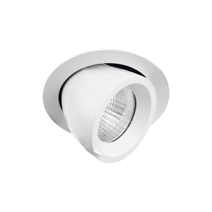 Commercial LED Downlights: R868 Ecolight Tilt 162mm Downlight The Lighting Centre NZ