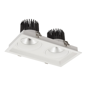 Commercial LED Downlights: Triton XL 2 Light Twin Downlight The Lighting Centre NZ