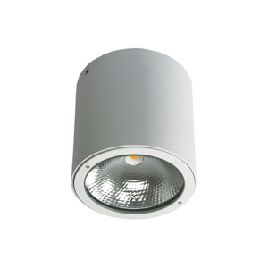Surface Mounted LED Downlights: Arlin 7W Surface Mount Downlight [DL2236] - incl GST : Lighting The Lighting Centre NZ